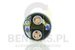 Solenoid  235496-FO-CG